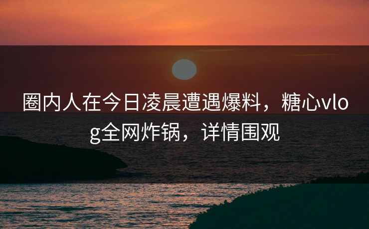 圈内人在今日凌晨遭遇爆料，糖心vlog全网炸锅，详情围观  第1张