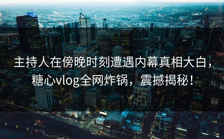 主持人在傍晚时刻遭遇内幕真相大白，糖心vlog全网炸锅，震撼揭秘！  第1张
