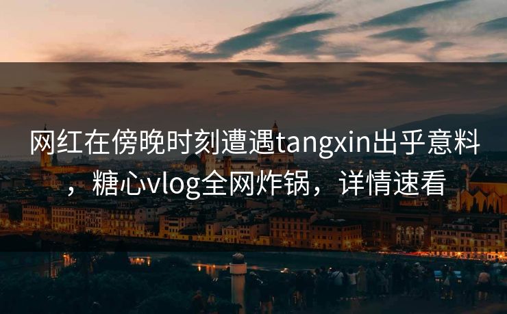 网红在傍晚时刻遭遇tangxin出乎意料，糖心vlog全网炸锅，详情速看