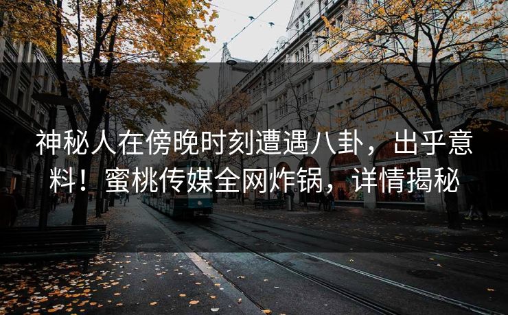 神秘人在傍晚时刻遭遇八卦，出乎意料！蜜桃传媒全网炸锅，详情揭秘