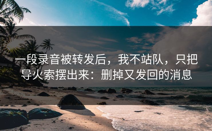 一段录音被转发后,我不站队,只把导火索摆出来:删掉又发回的消息 第2张 一段录音被转发后,我不站队,只把导火索摆出来:删掉又发回的消息 第2张