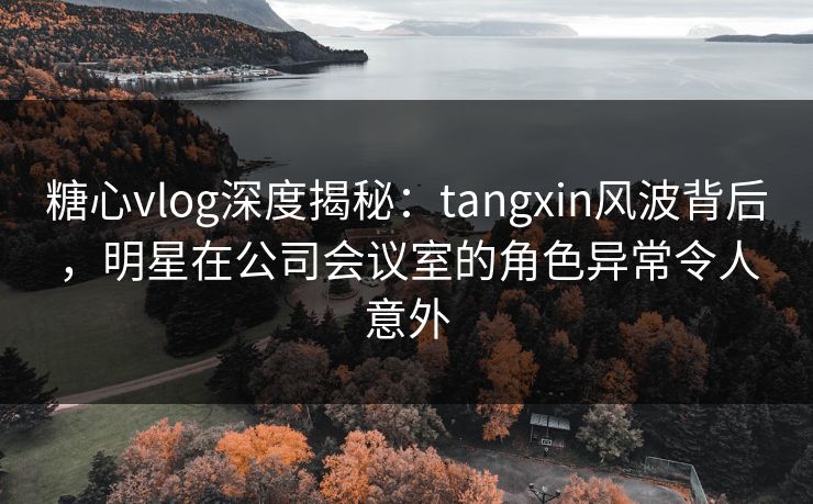 糖心vlog深度揭秘：tangxin风波背后，明星在公司会议室的角色异常令人意外