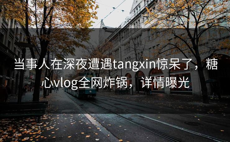 当事人在深夜遭遇tangxin惊呆了，糖心vlog全网炸锅，详情曝光