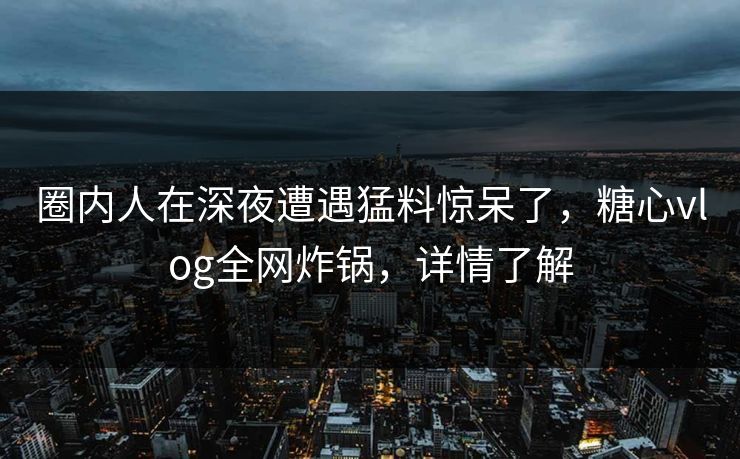 圈内人在深夜遭遇猛料惊呆了，糖心vlog全网炸锅，详情了解  第1张
