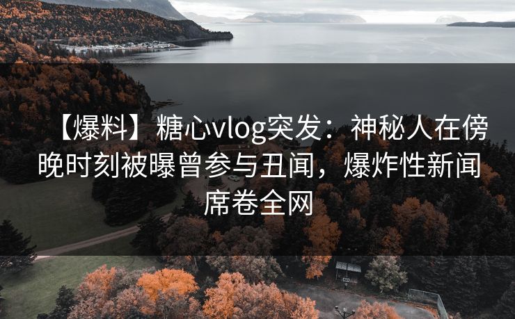 【爆料】糖心vlog突发：神秘人在傍晚时刻被曝曾参与丑闻，爆炸性新闻席卷全网  第1张