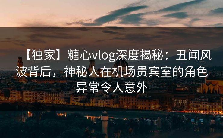 【独家】糖心vlog深度揭秘：丑闻风波背后，神秘人在机场贵宾室的角色异常令人意外  第1张