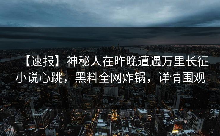 【速报】神秘人在昨晚遭遇万里长征小说心跳，黑料全网炸锅，详情围观